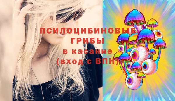 шишки Красноперекопск