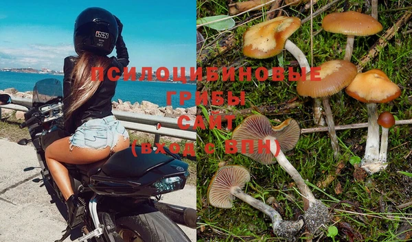 каннабис Кукмор